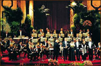 Vienna Hofburg Orchestra